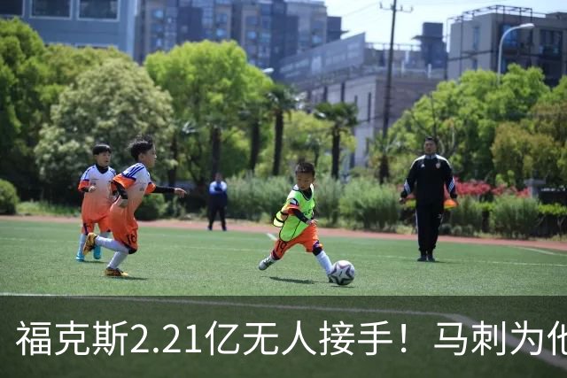 福克斯2.21亿无人接手！马刺为他遮羞：文班降薪5100万，哈珀愿替补